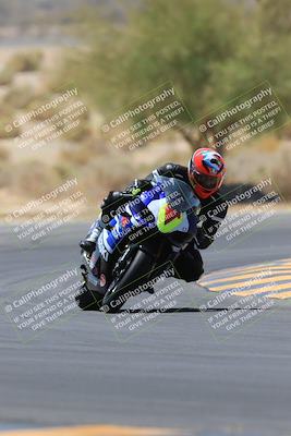 media/May-14-2023-SoCal Trackdays (Sun) [[024eb53b40]]/Turn 5 Tree of Life (1125am)/